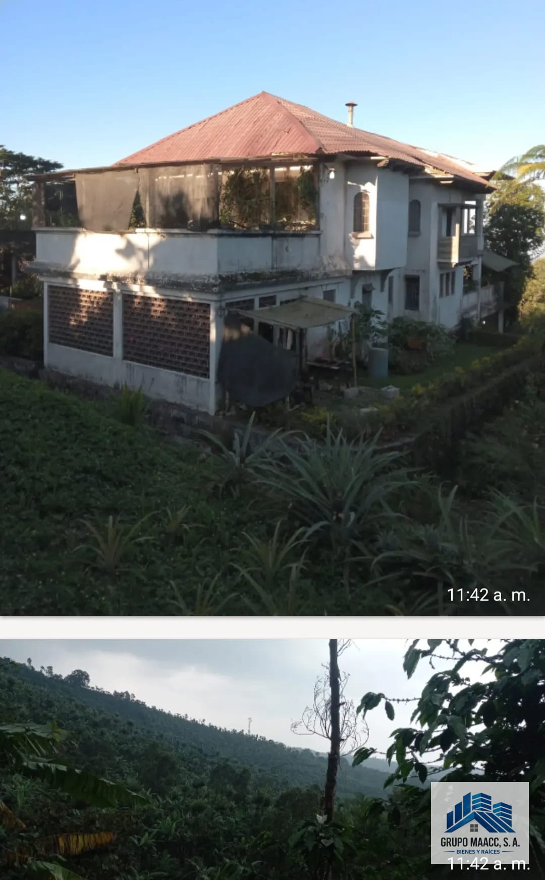 Excelente Oportunidad Venta Finca de Café 9 Caballerias — Finca en Venta en Colomba Costa Cuca, Quetzaltenango — foto 4 de 12