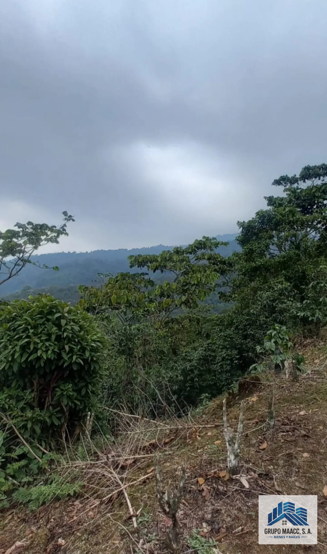 Excelente Oportunidad Venta Finca de Café 9 Caballerias — Finca en Venta en Colomba Costa Cuca, Quetzaltenango — foto 7 de 12