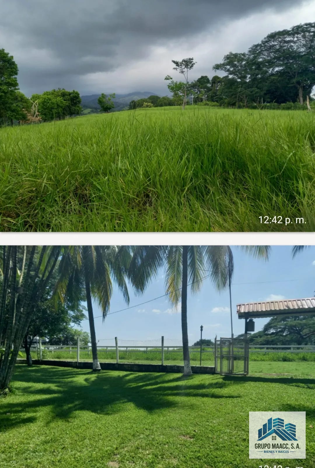 Venta Finca Ganadera y Agrícola Guanagazapa — Finca en Venta en Guanagazapa, Escuintla — foto 4 de 9