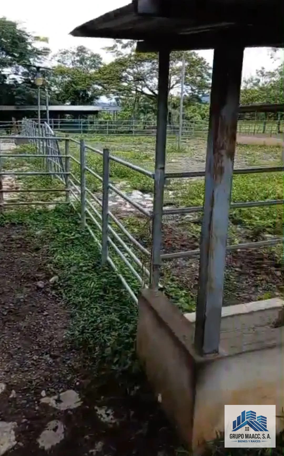 Venta Finca Ganadera y Agrícola Guanagazapa — Finca en Venta en Guanagazapa, Escuintla — foto 9 de 9