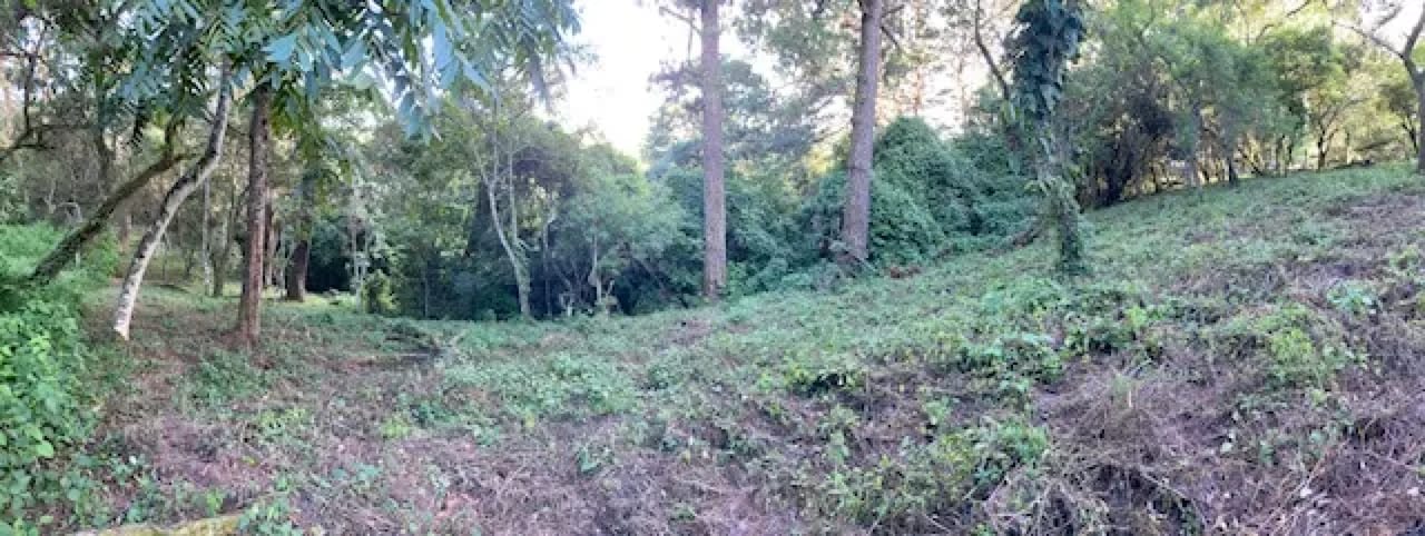 Terreno en Venta Premier Campestre CAES KM 22.5 — Terreno en Venta en Carretera a El Salvador, Guatemala, Ciudad — foto 4 de 4