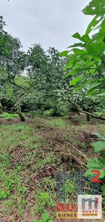 Terreno en Venta, Santa Catarina Pinula — Terreno en Venta en Santa Catarina Pinula, Guatemala, Ciudad — foto 3 de 15