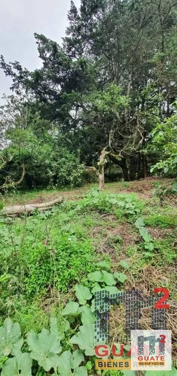Terreno en Venta, Santa Catarina Pinula — Terreno en Venta en Santa Catarina Pinula, Guatemala, Ciudad — foto 5 de 15