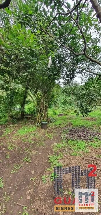 Terreno en Venta, Santa Catarina Pinula — Terreno en Venta en Santa Catarina Pinula, Guatemala, Ciudad — foto 10 de 15