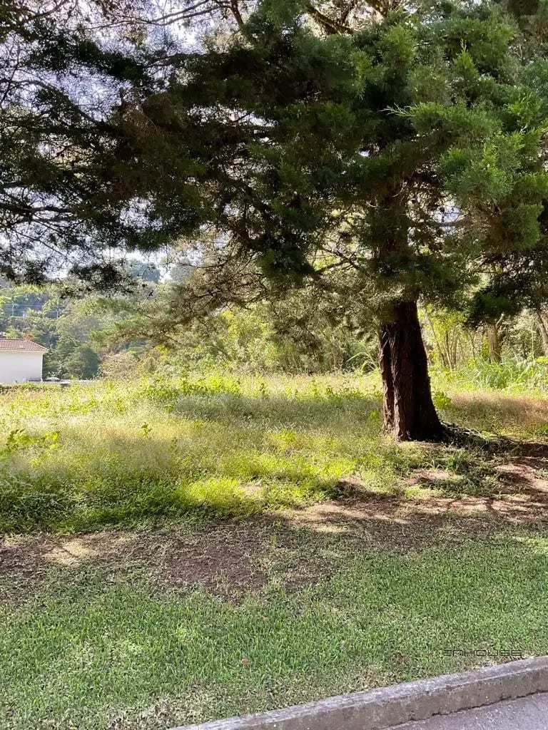Terreno en Venta en Casa y Campo KM 23.5 — Terreno en Venta en Carretera a El Salvador, Guatemala, Ciudad — foto 3 de 7