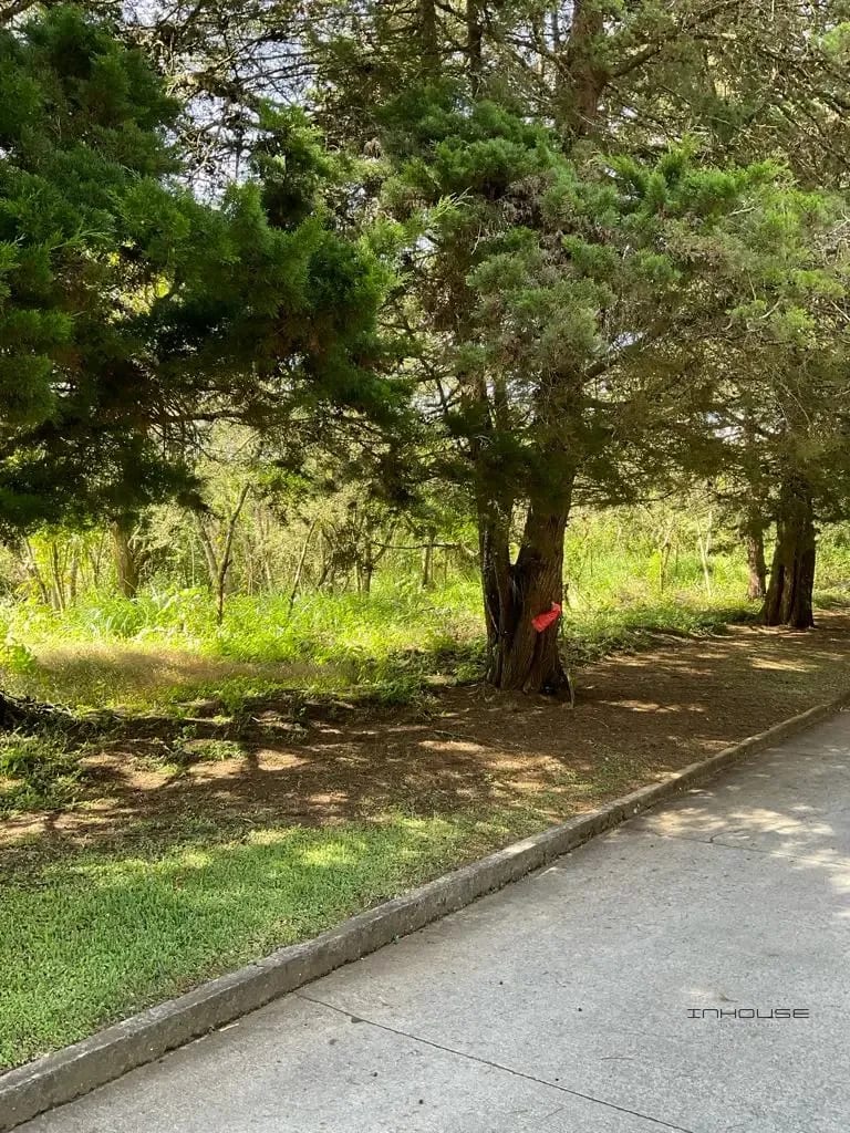 Terreno en Venta en Casa y Campo KM 23.5 — Terreno en Venta en Carretera a El Salvador, Guatemala, Ciudad — foto 5 de 7