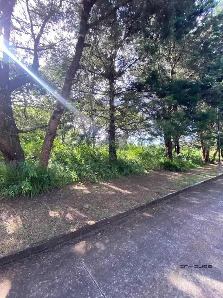 Terreno en Venta en Casa y Campo KM 23.5 — Terreno en Venta en Carretera a El Salvador, Guatemala, Ciudad — foto 4 de 8