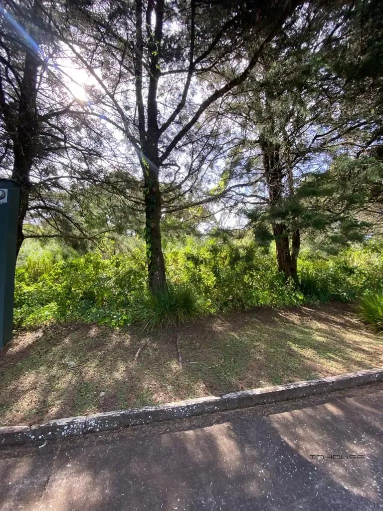 Terreno en Venta en Casa y Campo KM 23.5 — Terreno en Venta en Carretera a El Salvador, Guatemala, Ciudad — foto 6 de 8
