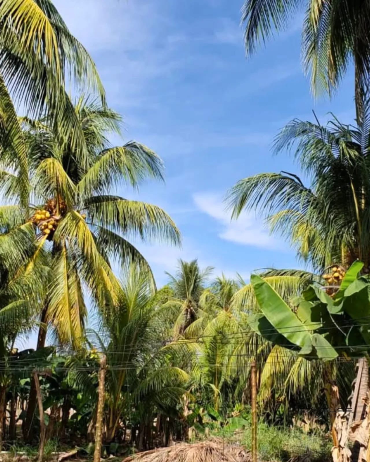 Terreno en Venta Escuintla KM 101 — Terreno en Venta en Puerto San José, Escuintla — foto 3 de 10