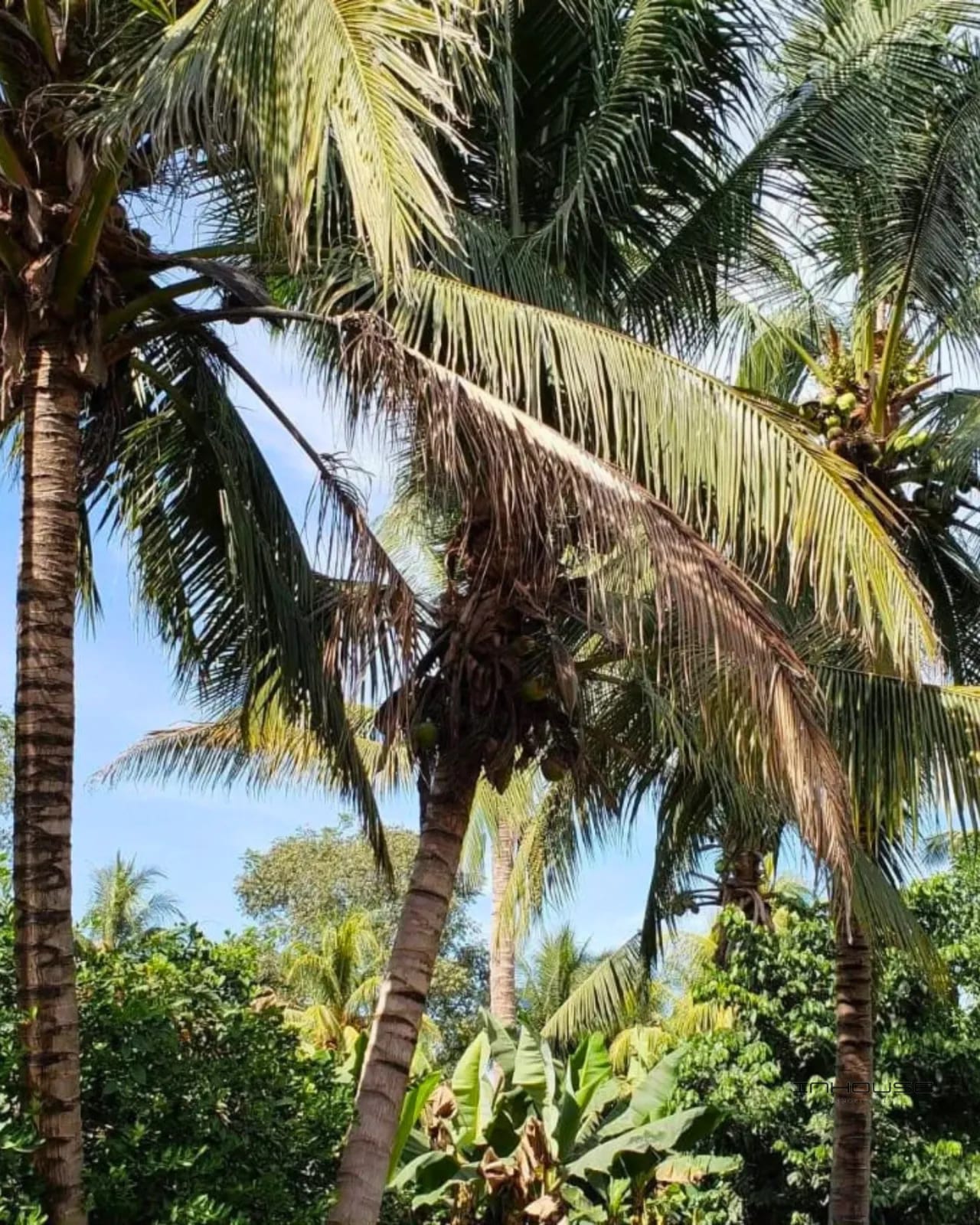 Terreno en Venta Escuintla KM 101 — Terreno en Venta en Puerto San José, Escuintla — foto 10 de 10