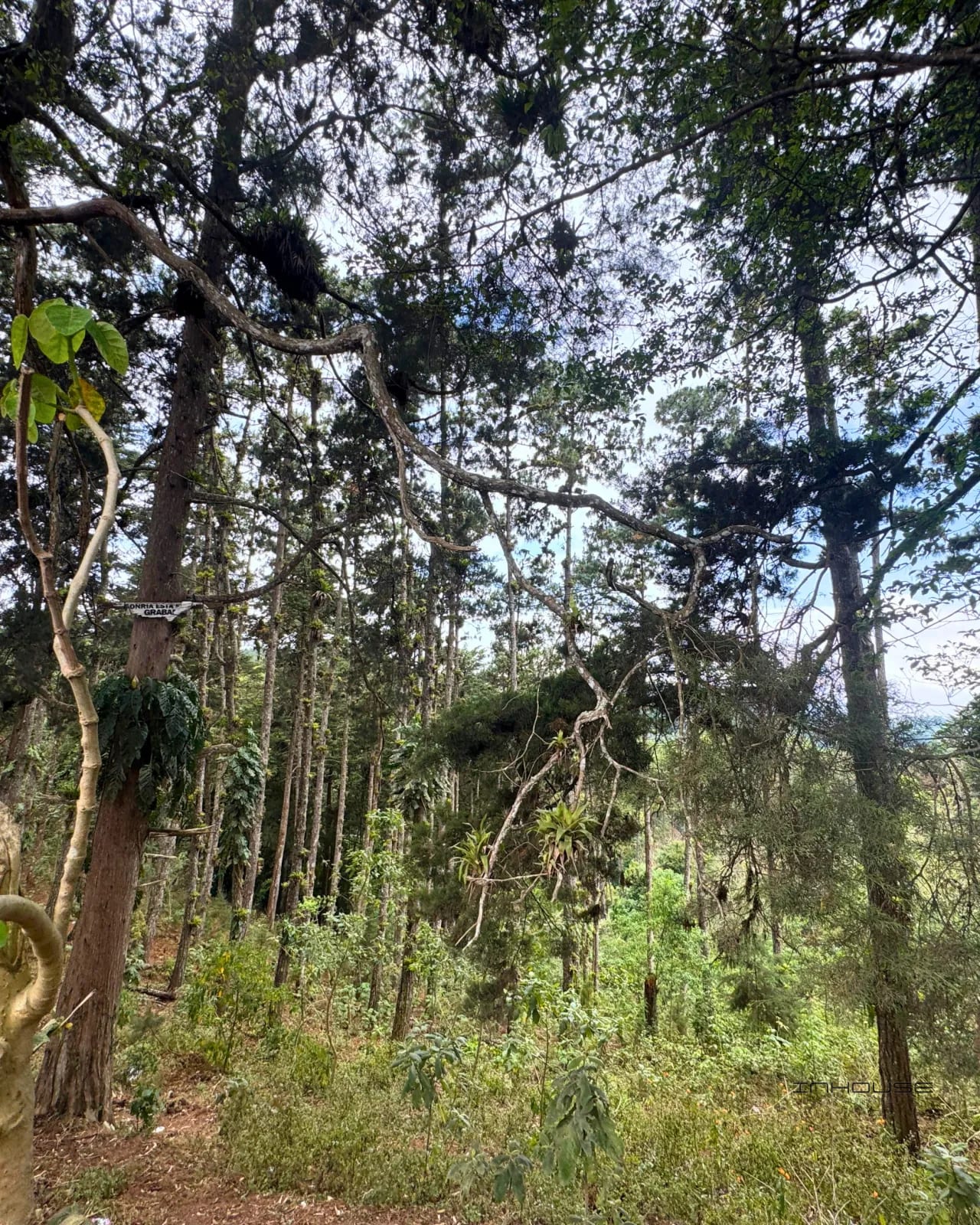 Terreno en Venta, Cienega Grande — Terreno en Venta en San José Pinula, Guatemala, Ciudad — foto 5 de 9