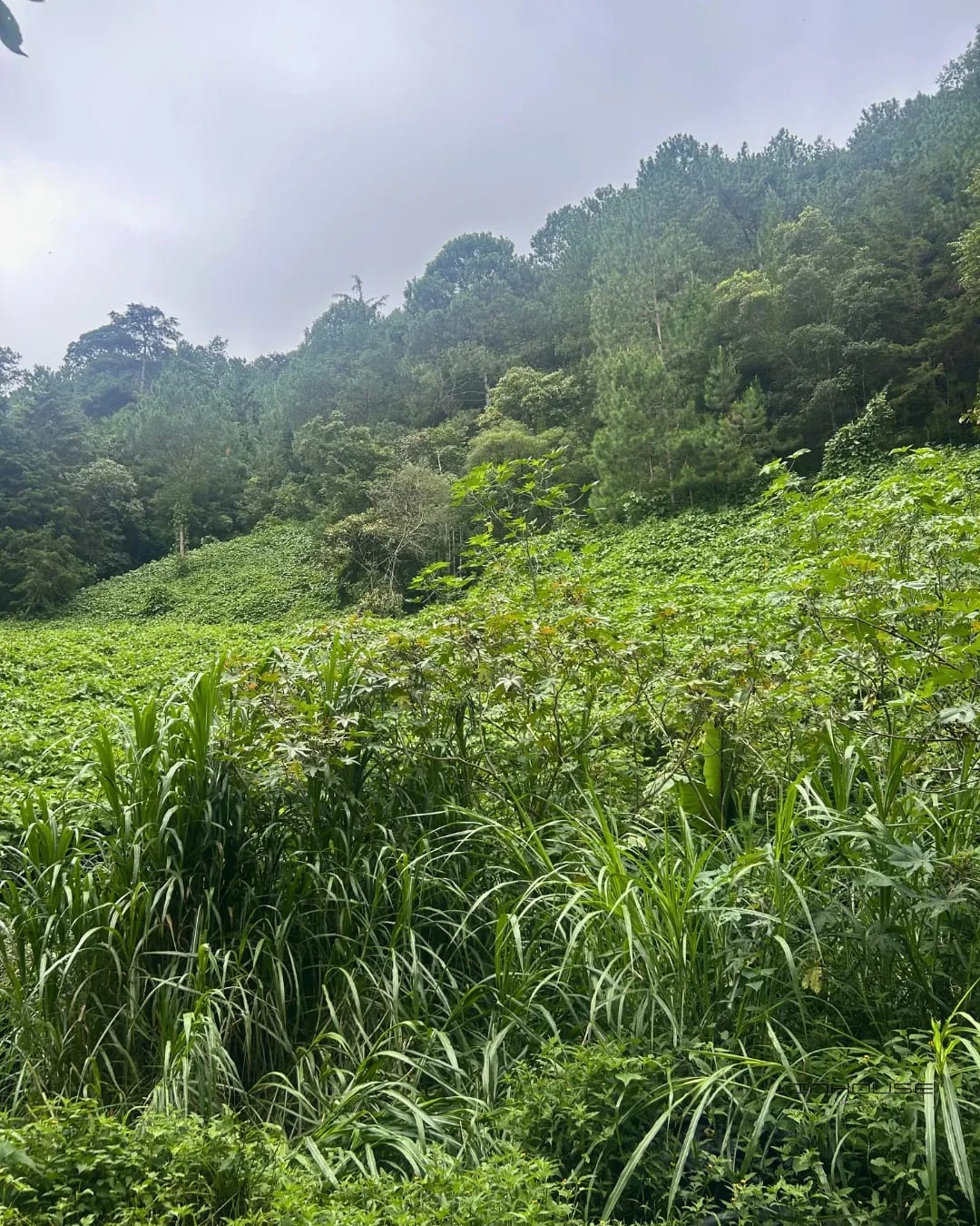 Terreno en Venta, Cienega Grande — Terreno en Venta en San José Pinula, Guatemala, Ciudad — foto 1 de 9