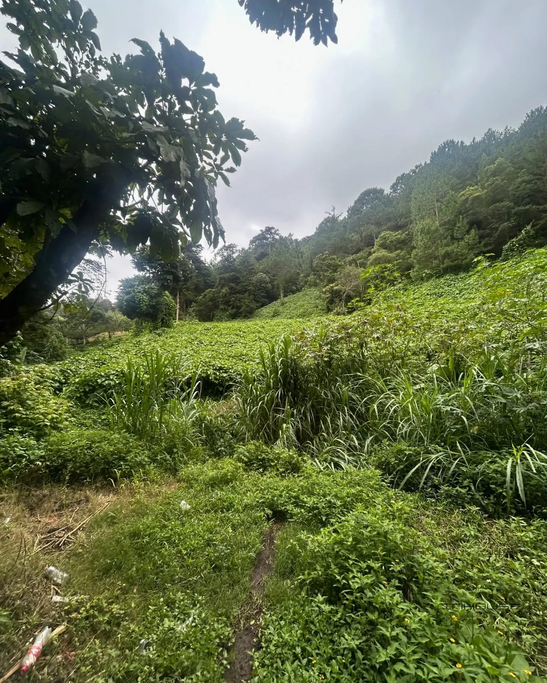 Terreno en Venta, Cienega Grande — Terreno en Venta en San José Pinula, Guatemala, Ciudad — foto 9 de 9