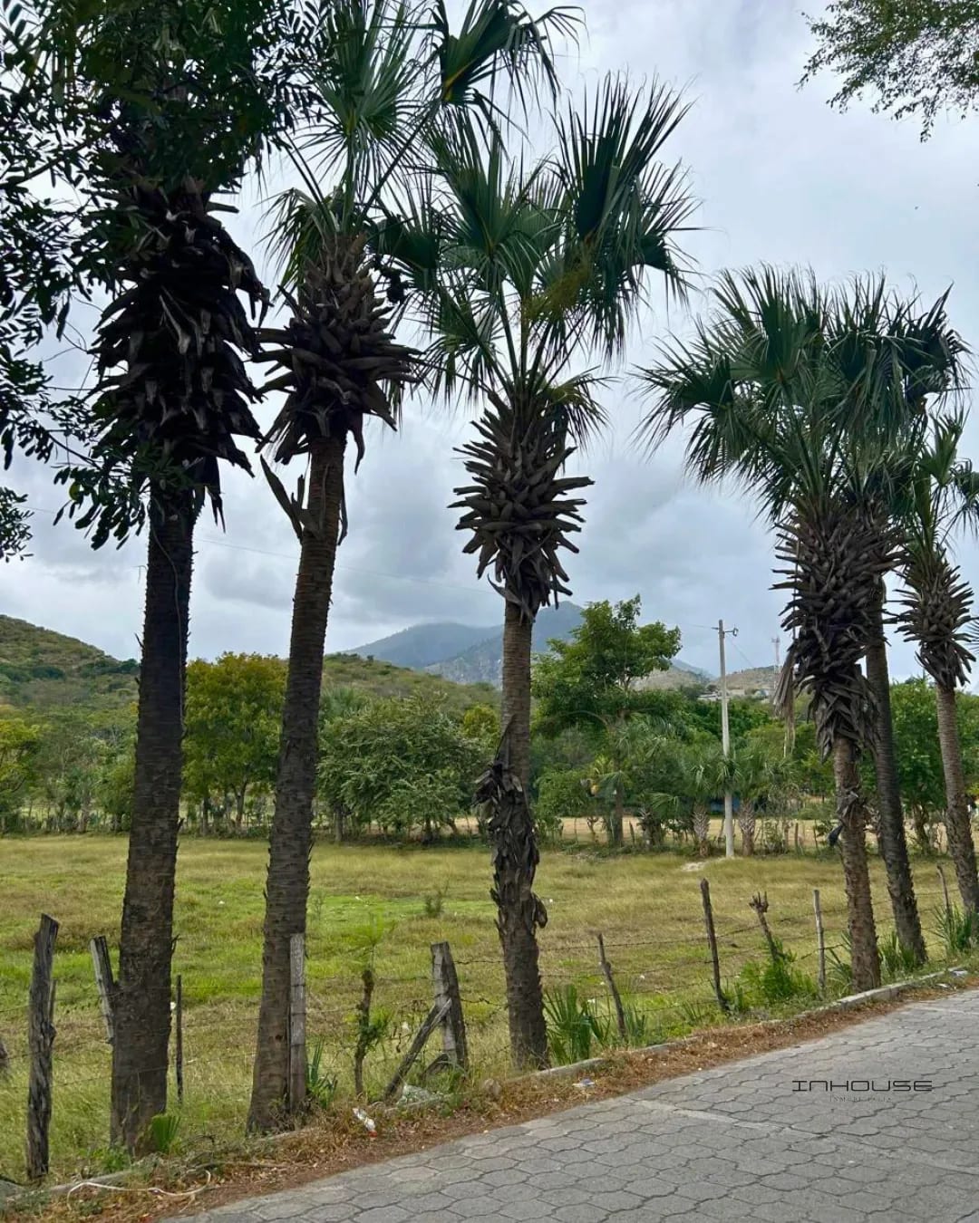 Terreno en Renta Teculután Zacapa — Terreno en Alquiler en Teculután, Zacapa — foto 2 de 7