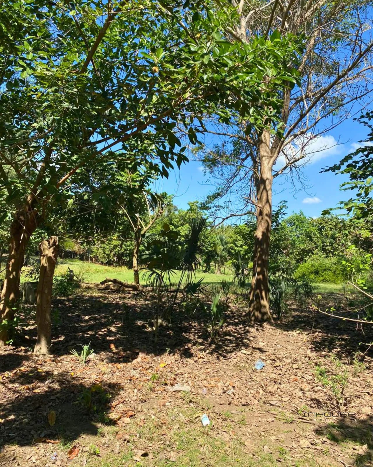 Terreno en Venta Puerto San Jose a Orilla de Calle Principal — Terreno en Venta en Juan Gaviota Marina del Sur, Puerto San José, Escuintla — foto 6 de 10