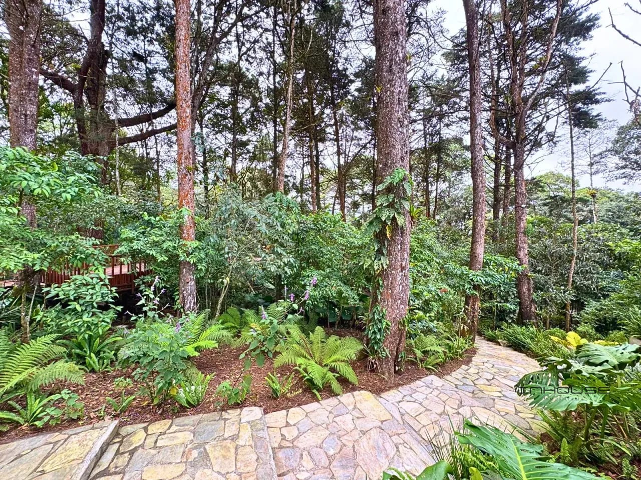 Terreno en Venta Santa Rosalia Zona 16 LEGAD0 del Bosque — Terreno en Venta en Zona 16, Guatemala, Ciudad — foto 4 de 10