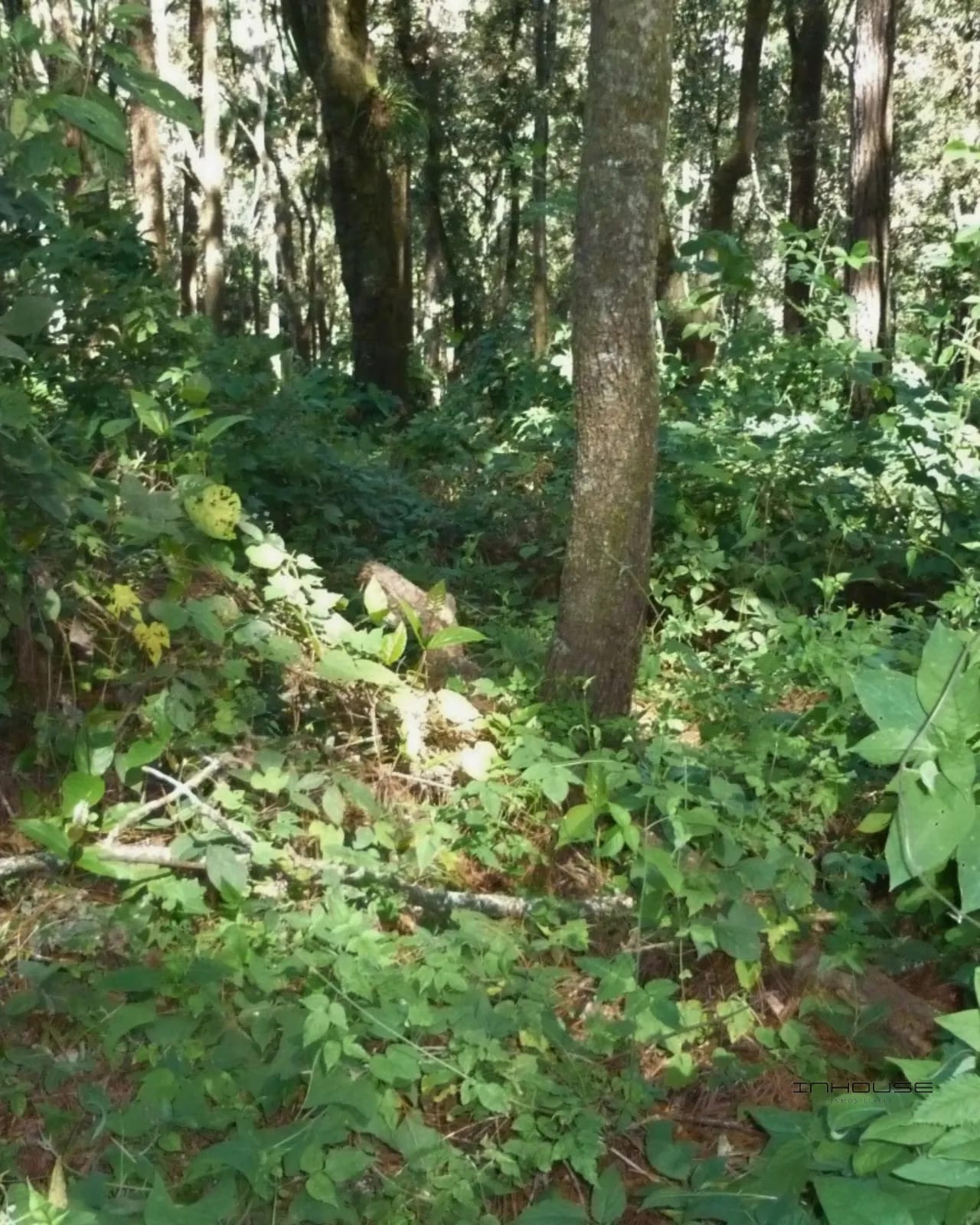 Terreno de 7 Manzanas en Venta Piedra Parada, Santa Catarina Pinula — Terreno en Venta en Carretera a El Salvador, Guatemala, Ciudad — foto 1 de 10