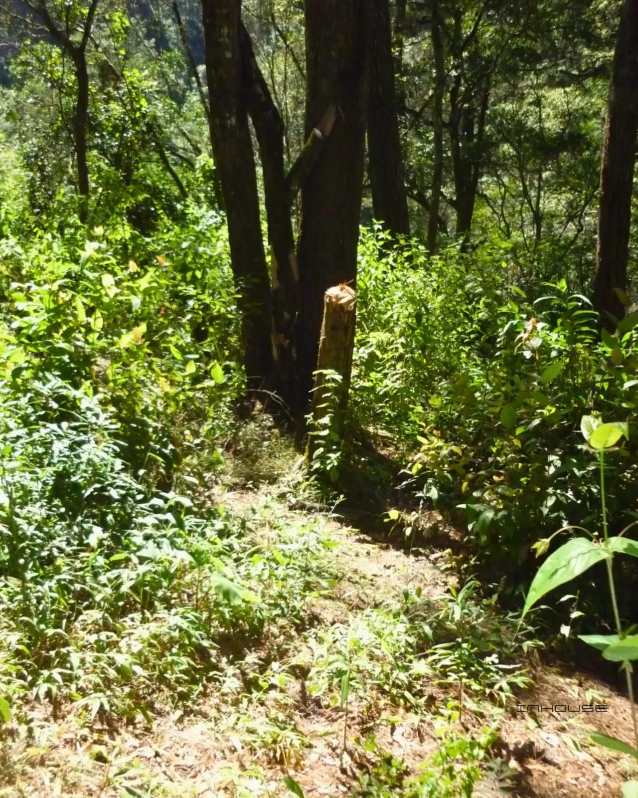 Terreno de 7 Manzanas en Venta Piedra Parada, Santa Catarina Pinula — Terreno en Venta en Carretera a El Salvador, Guatemala, Ciudad — foto 6 de 10