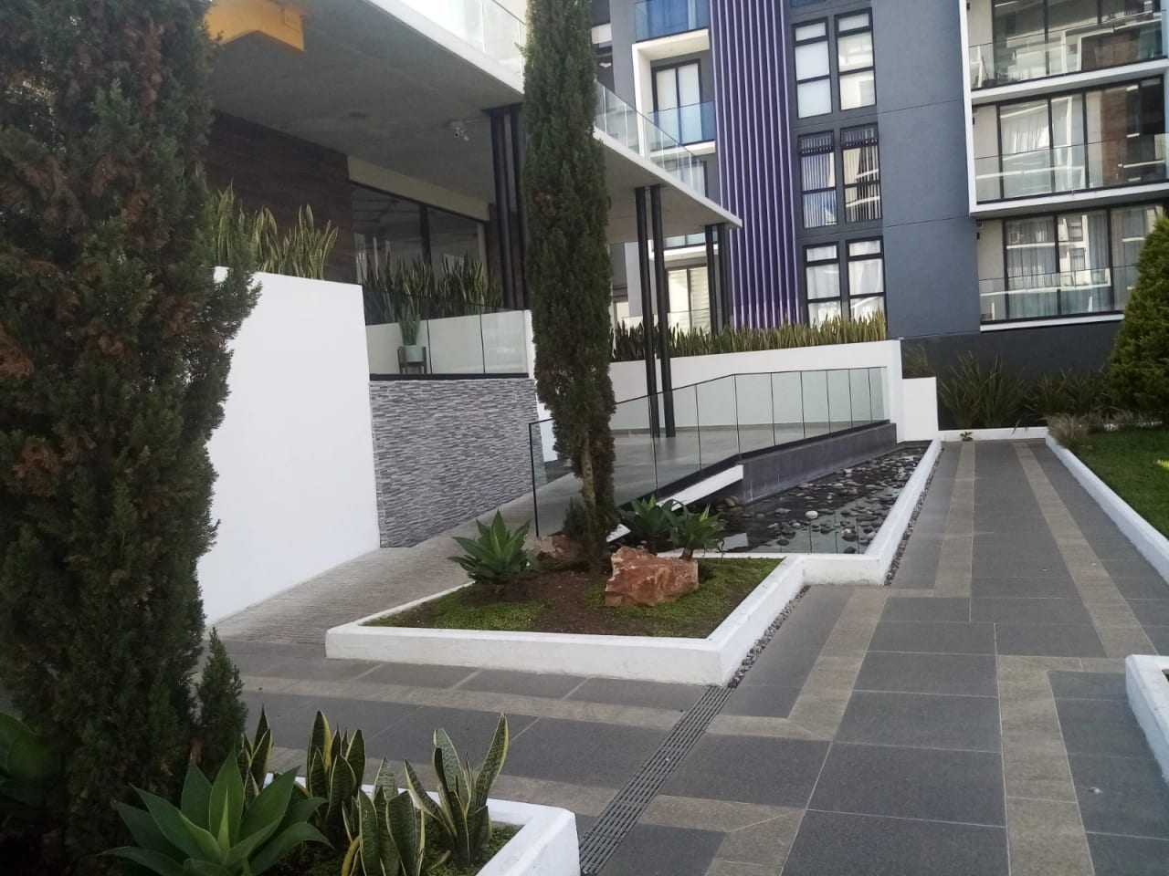 Alquilo Apartamento en Zona 15 en el Edificio Morea Vhii Adentro de Garita — Apartamento en Alquiler en Morea, Zona 15, Guatemala, Ciudad — foto 13 de 15