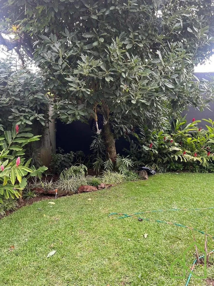 Casa en alquiler Vivienda / Oficina en área La Villa zona 14 — Casa en Alquiler en La Villa, Zona 14, Guatemala, Ciudad — foto 11 de 13