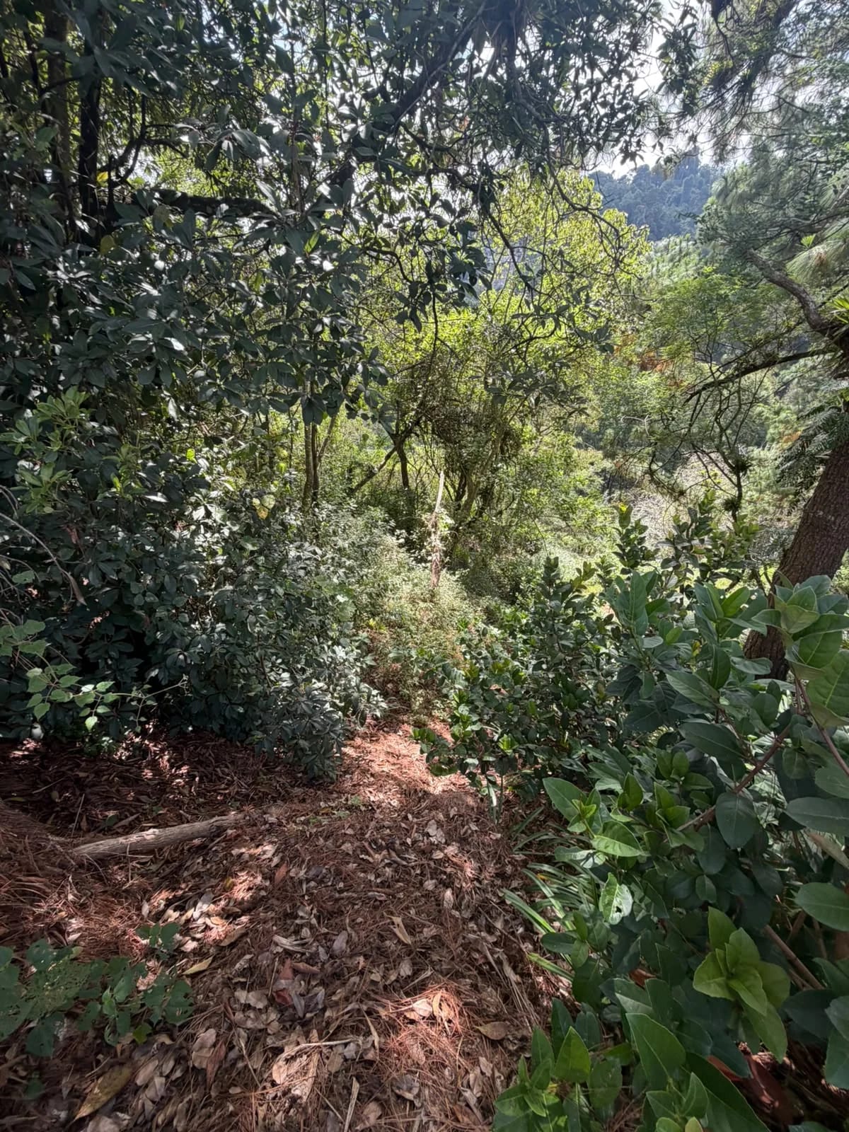 Terrenos en venta - km 10.5 Caes Vista al Valle — Terreno en Venta en Carretera a El Salvador, Guatemala, Ciudad — foto 5 de 6
