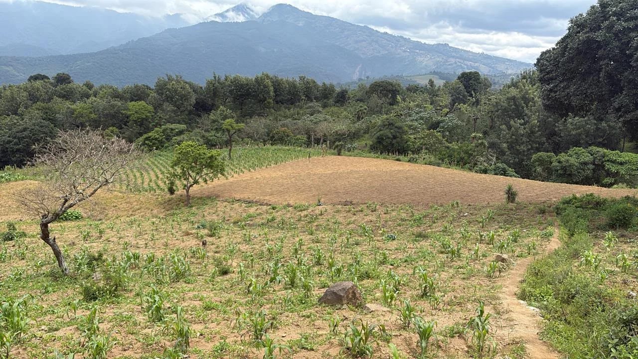 Finca en venta - Chimaltenango Kilómetro 76 Camino Acatenango — Terreno en Venta en Acatenango, Chimaltenango — foto 1 de 4