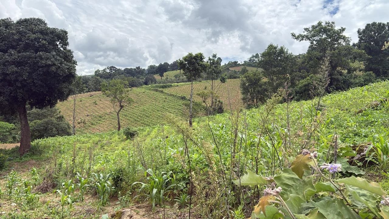 Finca en venta - Chimaltenango Kilómetro 76 Camino Acatenango — Terreno en Venta en Acatenango, Chimaltenango — foto 2 de 4