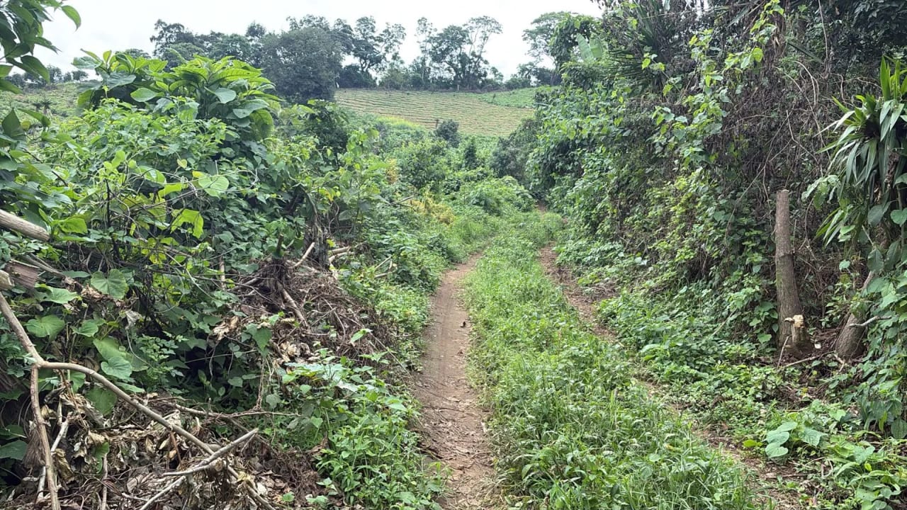 Finca en venta - Chimaltenango Kilómetro 76 Camino Acatenango — Terreno en Venta en Acatenango, Chimaltenango — foto 3 de 4