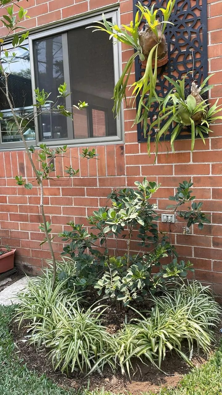 Casa en Alquileren la Boscana zona 15VHI — Casa en Alquiler en Zona 15, Guatemala, Ciudad — foto 10 de 17
