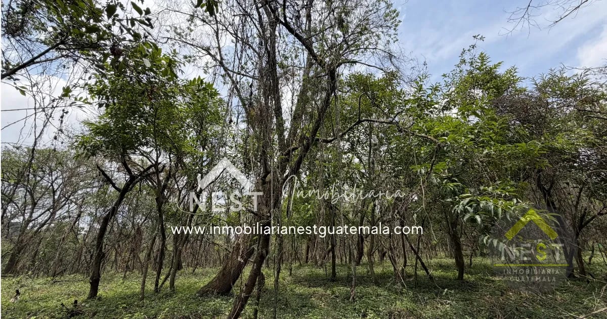 Terrenos en venta, diferentes medidas y precios | CASA Y CAMPO, Carretera a El Salvador — Terreno en Venta en Carretera a El Salvador, Guatemala, Ciudad — foto 6 de 14