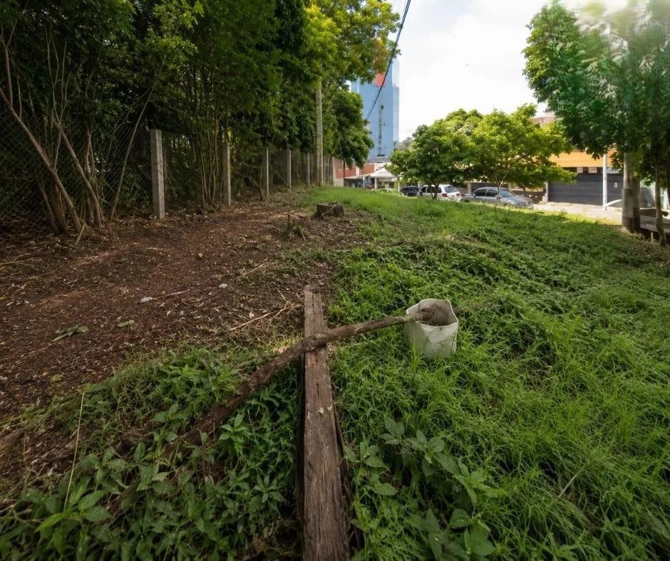 Terreno en Renta Zona 15 cod.CT36516 — Terreno en Alquiler en Zona 15, Guatemala, Ciudad — foto 3 de 5