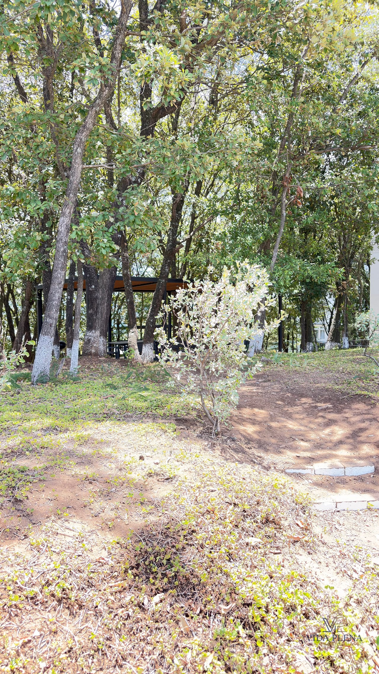 Venta de Apartamento SAKAI/Z.1 de Mixco Interamericana — Apartamento en Alquiler en Sakai, Zona 1 Mixco, Guatemala, Ciudad — foto 13 de 14
