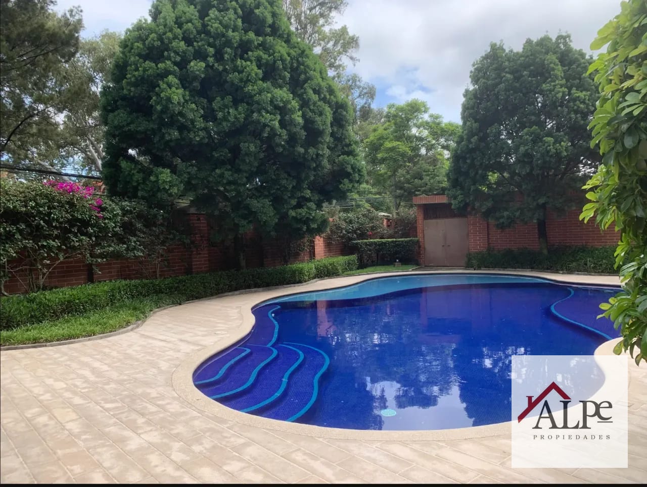 Tadeus Zona 14 Alquiler — Apartamento en Alquiler en Tadeus, Zona 14, Guatemala, Ciudad — foto 17 de 17