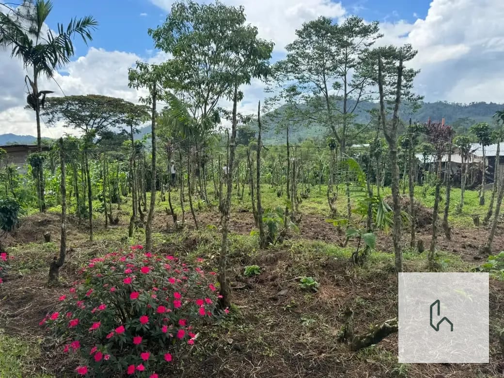 VENTA DE HERMOSO TERRENO PLANO EN SANTA CRUZ VERAPAZ — Terreno en Venta en Santa Cruz Verapaz, Alta Verapaz — foto 3 de 11