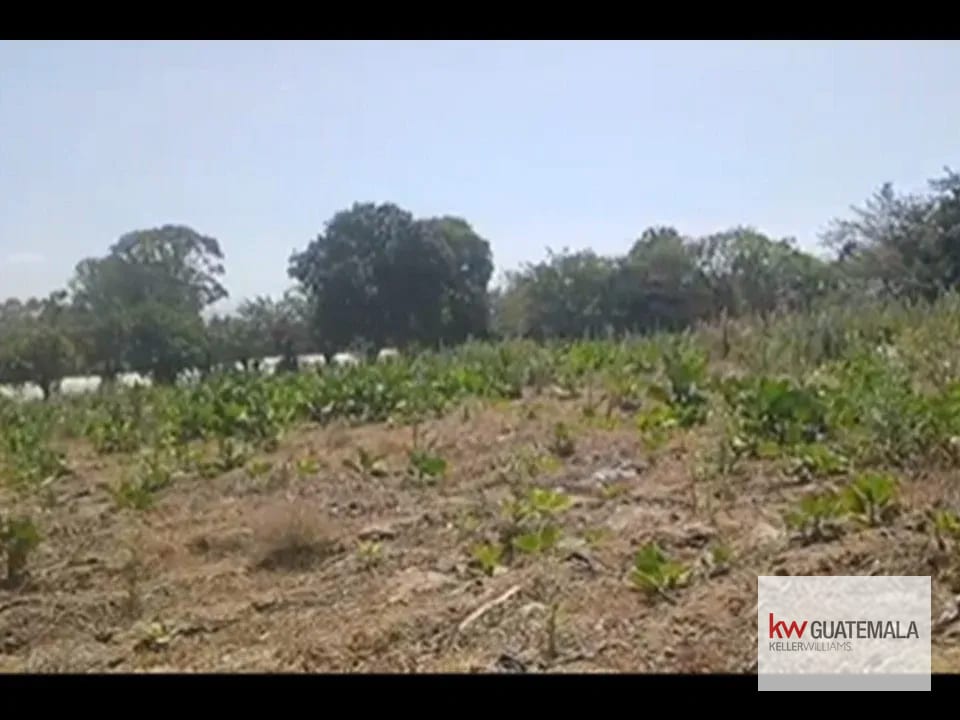 VENTA DE TERRENO PLANO EN BARCENAS — Terreno en Venta en planes de barcenas, Villa Nueva, Guatemala, Ciudad — foto 1 de 4