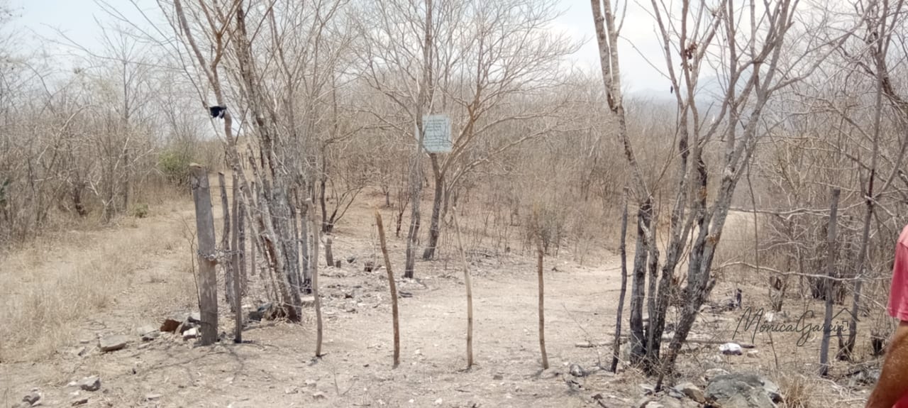 ¡OPORTUNIDAD DE INVERSIÓN! Terreno Industrial Ideal para Proyecto Solar en El Progreso — Terreno en Venta en El Jícaro, El Progreso — foto 6 de 14