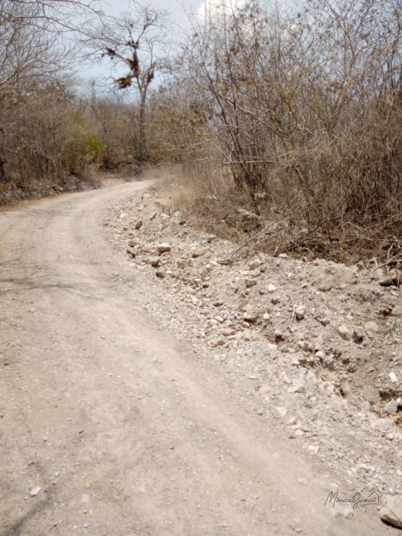 ¡OPORTUNIDAD DE INVERSIÓN! Terreno Industrial Ideal para Proyecto Solar en El Progreso — Terreno en Venta en El Jícaro, El Progreso — foto 11 de 14