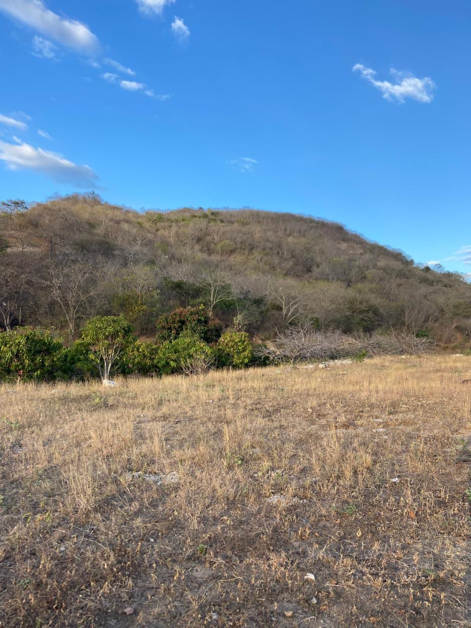 Oportunidad de Inversión: Terreno Comercial en Alquiler a Largo Plazo — Terreno en Alquiler en Guastatoya, El Progreso — foto 9 de 10