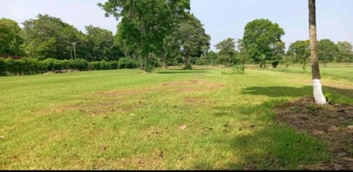 Para inversión terreno carretera vieja a Puerto de San José — Finca en Venta en Masagua, Escuintla — foto 2 de 17