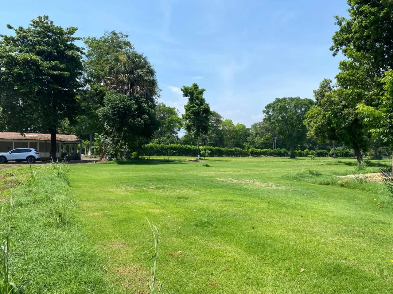 Para inversión terreno carretera vieja a Puerto de San José — Finca en Venta en Masagua, Escuintla — foto 3 de 17