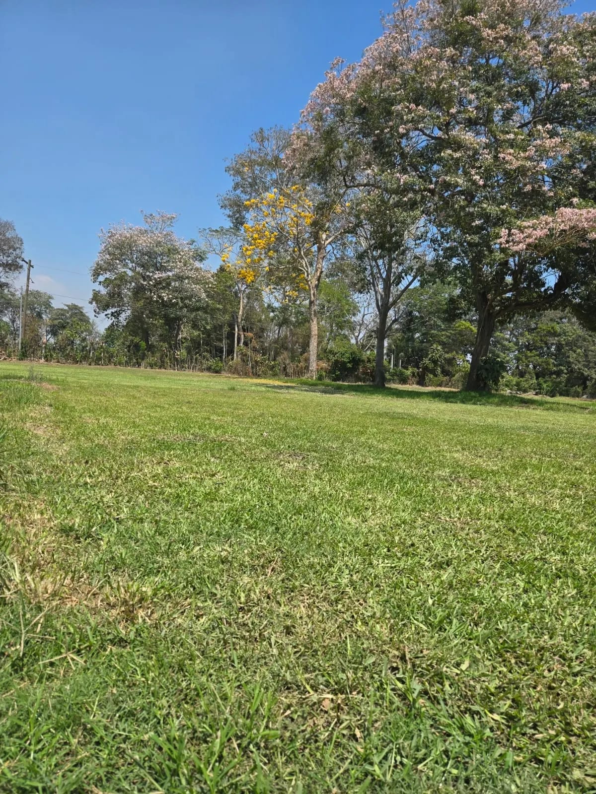Para inversión terreno carretera vieja a Puerto de San José — Finca en Venta en Masagua, Escuintla — foto 7 de 17