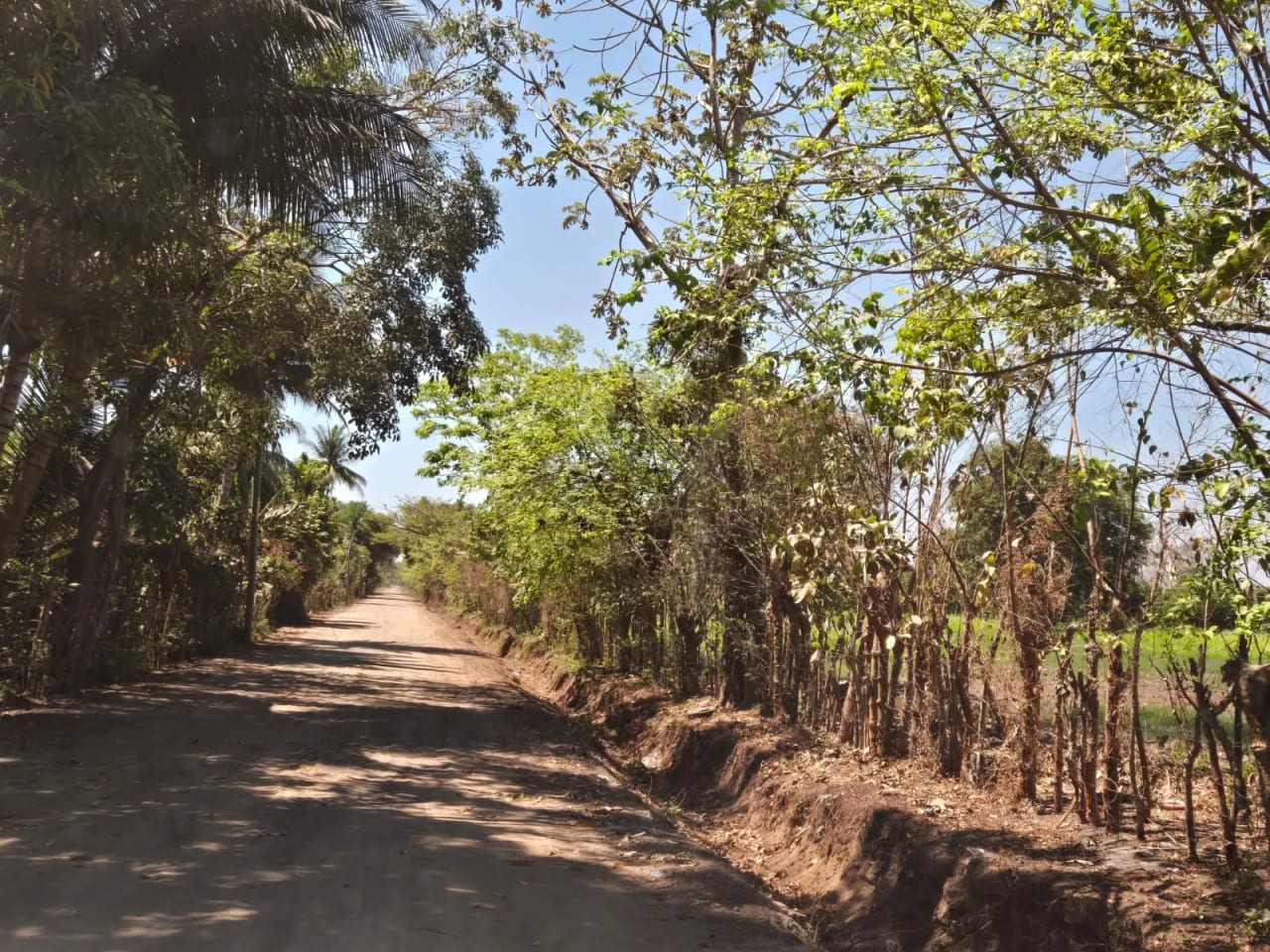 Para inversión terreno carretera vieja a Puerto de San José — Finca en Venta en Masagua, Escuintla — foto 16 de 17