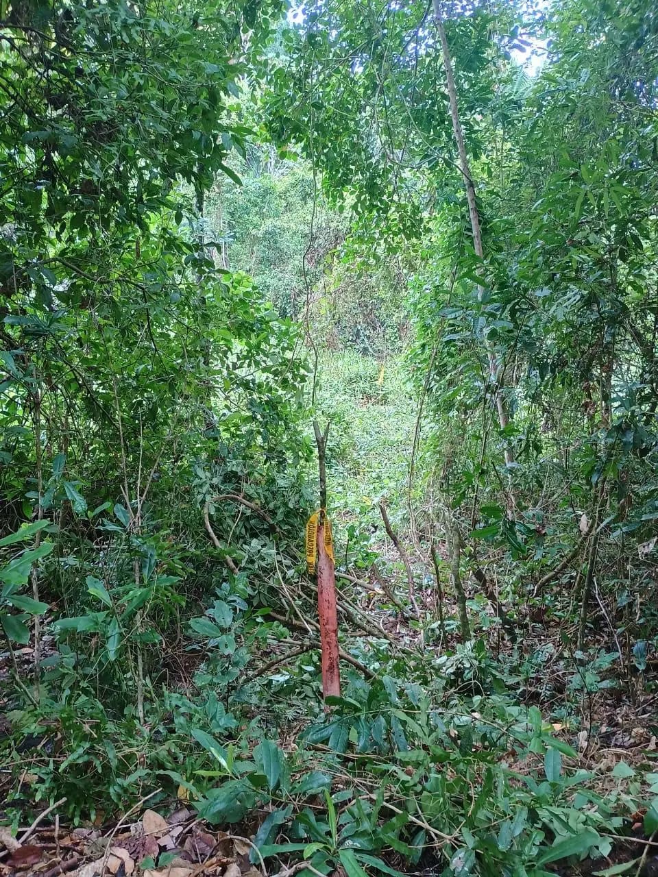 Terreno En Venta Amatique Bay Puerto Barrios — Terreno en Venta en Puerto Barrios, Izabal — foto 8 de 12