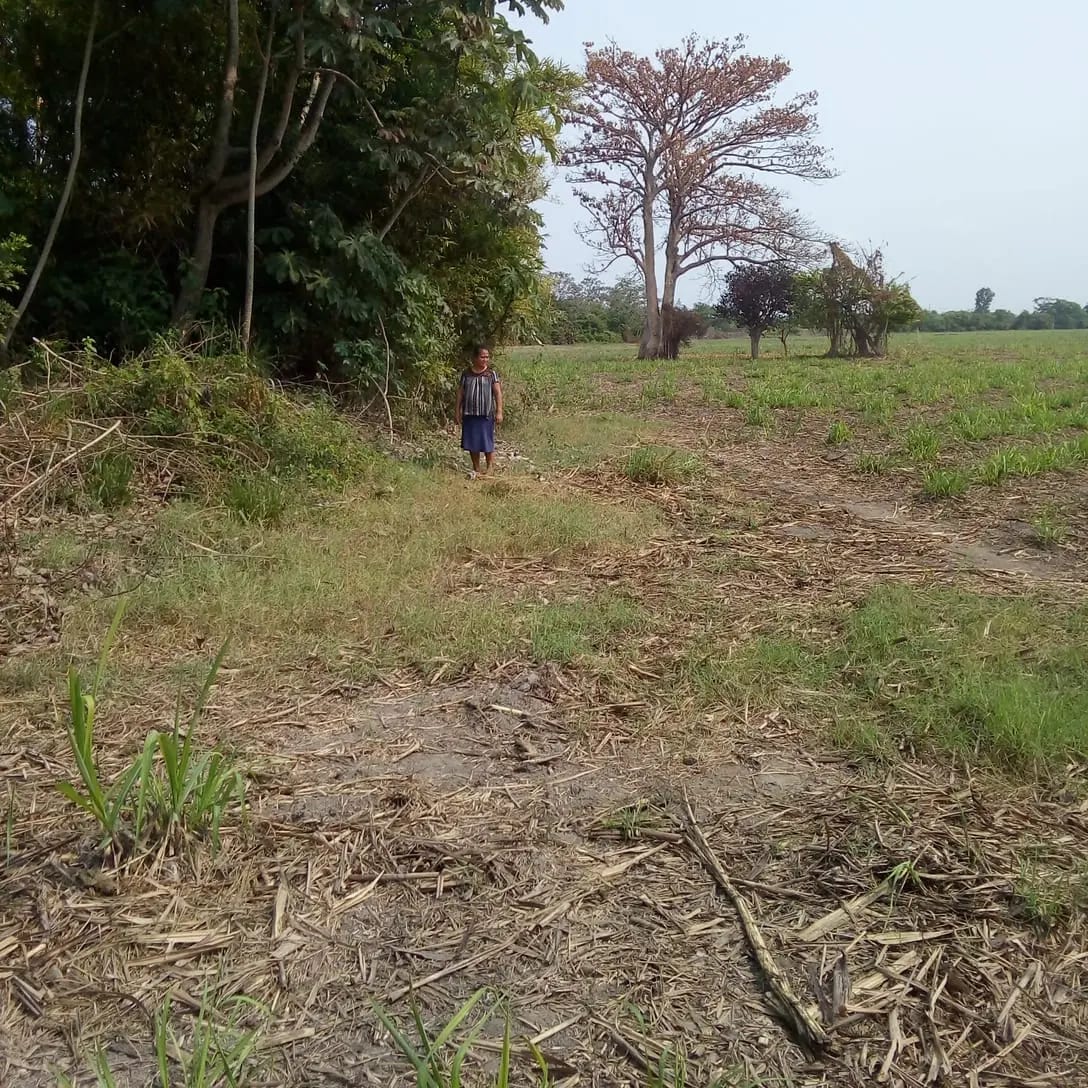 Para invertir terreno en venta — Finca en Venta en Puerto San José, Escuintla — foto 6 de 6