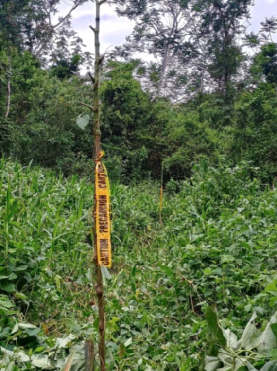 Terreno en Venta Amatique Bay Puerto Barrios Izabal — Terreno en Venta en Amatique Bay, Izabal — foto 6 de 13