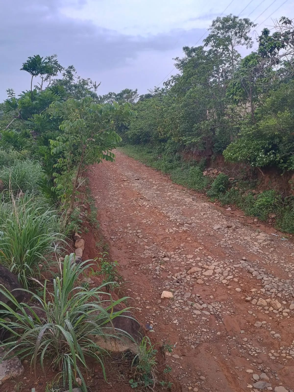 Terreno Agrícola en Venta en Pueblo Nuevo Viñas, Santa Rosa, Guatemala — Terreno en Venta en Pueblo Nuevo Viñas, Santa Rosa — foto 3 de 7
