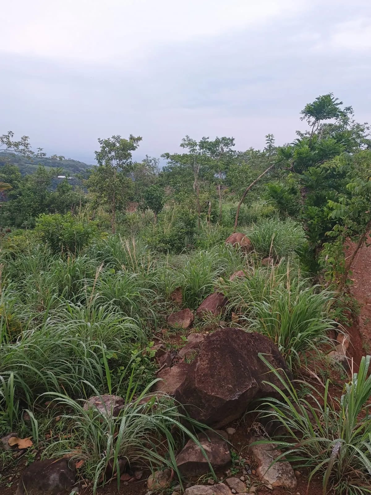 Terreno Agrícola en Venta en Pueblo Nuevo Viñas, Santa Rosa, Guatemala — Terreno en Venta en Pueblo Nuevo Viñas, Santa Rosa — foto 2 de 7