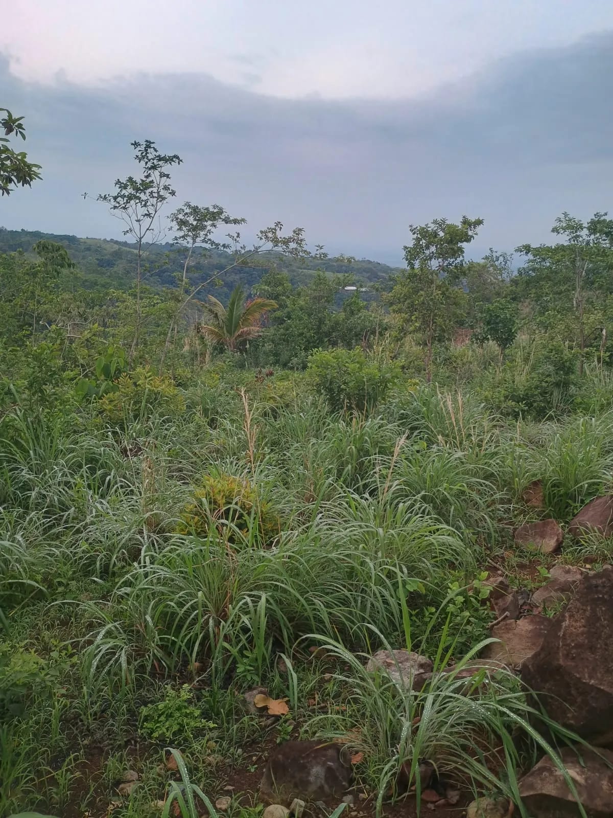 Terreno Agrícola en Venta en Pueblo Nuevo Viñas, Santa Rosa, Guatemala — Terreno en Venta en Pueblo Nuevo Viñas, Santa Rosa — foto 1 de 7