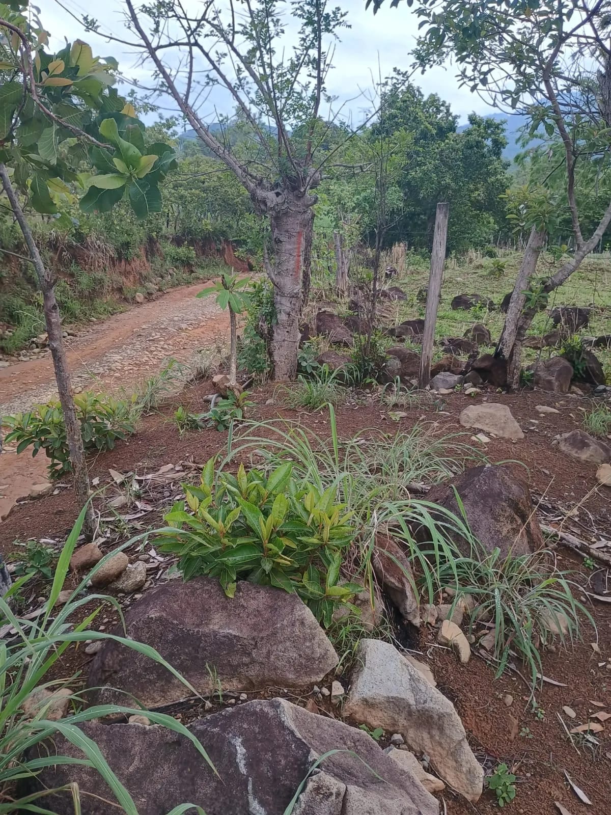 Terreno Agrícola en Venta en Pueblo Nuevo Viñas, Santa Rosa, Guatemala — Terreno en Venta en Pueblo Nuevo Viñas, Santa Rosa — foto 4 de 7