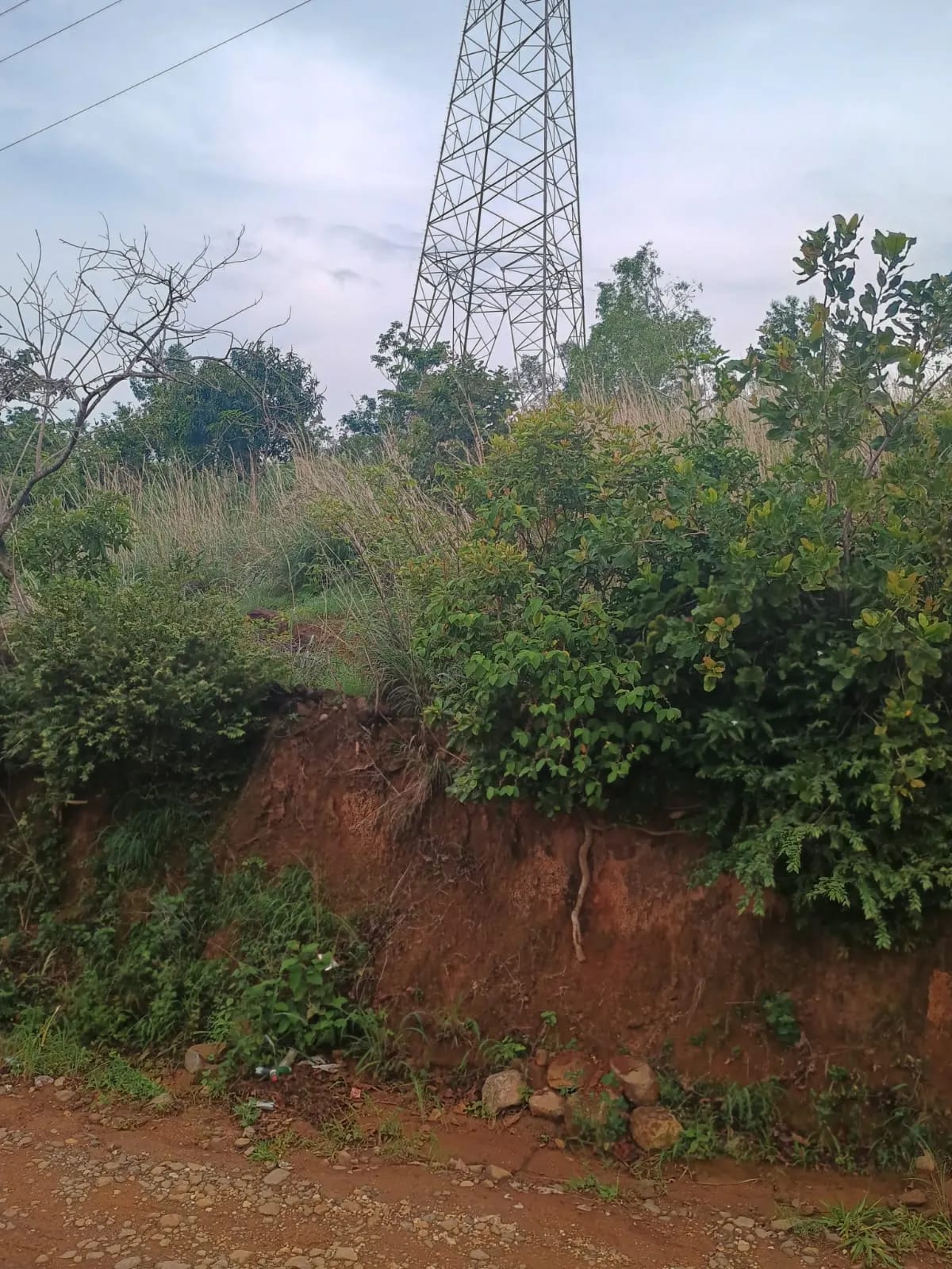 Terreno Agrícola en Venta en Pueblo Nuevo Viñas, Santa Rosa, Guatemala — Terreno en Venta en Pueblo Nuevo Viñas, Santa Rosa — foto 5 de 7
